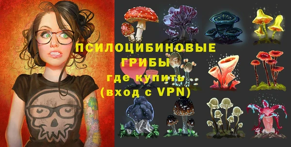 гашик Баксан