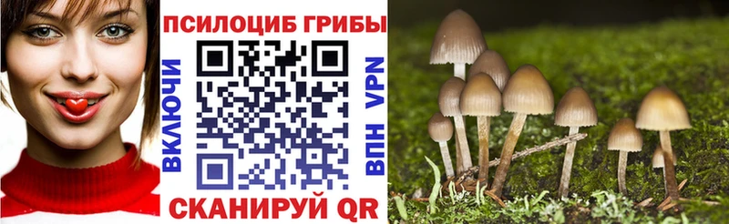 OMG ССЫЛКА  цены наркотик  Ливны  Галлюциногенные грибы прущие грибы 